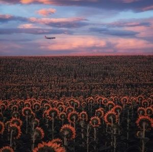 Meet your Posher, Marcene